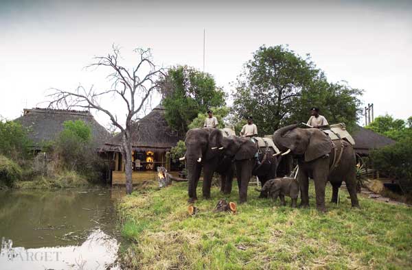 奢华到自然 The Camp Jabulani Hotel In South Africa