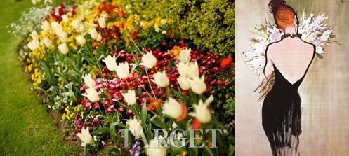 花之秘语,源起Dior Garden香氛故事