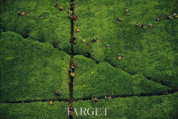 法国摄影师Yann Arthus-Bertrand诠释上帝眼中的美景