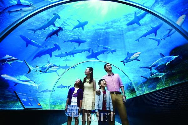 圣淘沙名胜世界盛大开幕 掀开新加坡的旅游业历史新篇章