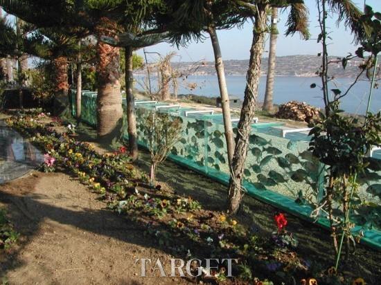 DIY奢华别墅围栏：比邻爱琴海的超级水族箱