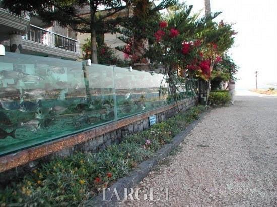 DIY奢华别墅围栏：比邻爱琴海的超级水族箱