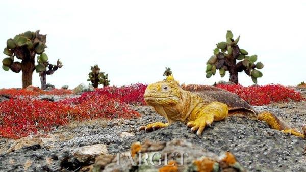 《福布斯》杂志推荐改变人生10大旅程 总预算50万