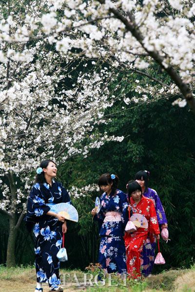 中国文化影响下的日本插花