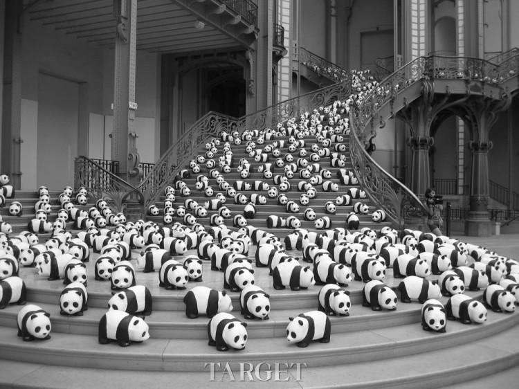 1600只熊猫宝宝集体卖萌，你受得了么？