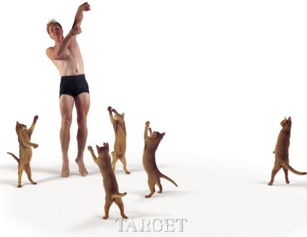 猫舞蹈家范使用了5只阿比西尼亚猫
