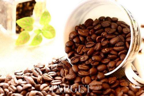 全球十大最贵咖啡 除“猫屎”外你还听说过哪些？