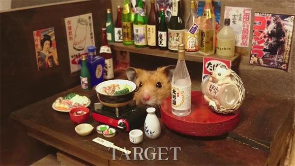 迷你日本酒吧里的呆萌“仓鼠酒保”
