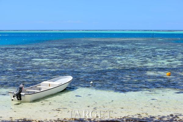 中斐互免签证30天 带你玩转斐济五大海岛 