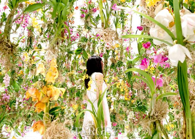 东京“悬浮花海”：植物生命的动态迷宫
