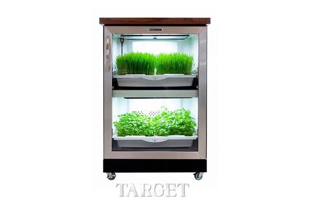 城市“农场” Urban Cultivator为你打造鲜嫩菜园