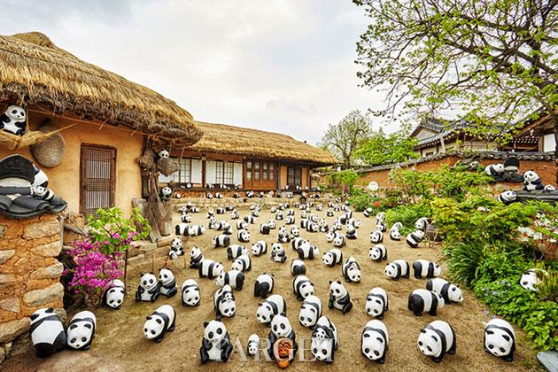 「1600 Pandas+」装置艺术世界之旅——韩国站