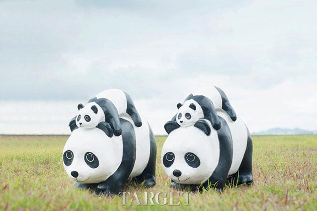 「1600 Pandas+」装置艺术世界之旅——韩国站