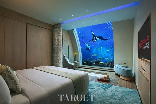 被鲨鱼“围观” 全球八大Hotel让你睡在海底 