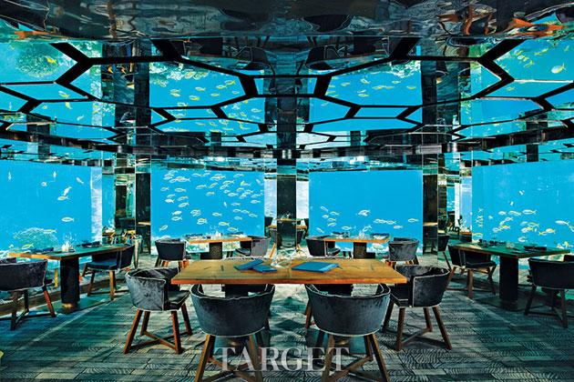 被鲨鱼“围观” 全球八大Hotel让你睡在海底 