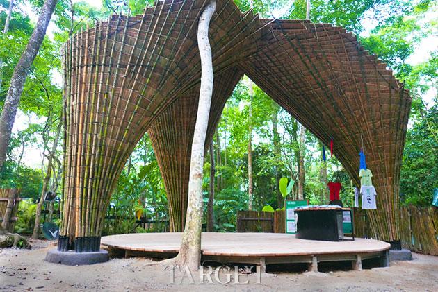 东南亚生态休闲 关西瀑布旁的“天然竹树”