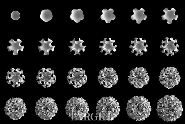 花香般旖旎 “floraform”为你带来清新之感