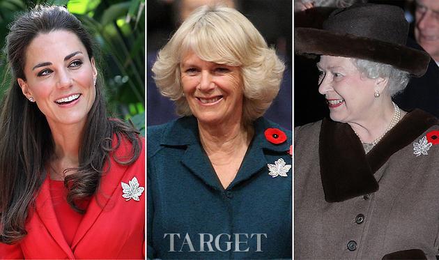 奢华气质 皇室政界的胸针外交 奢华气质 皇室政界的胸针外交