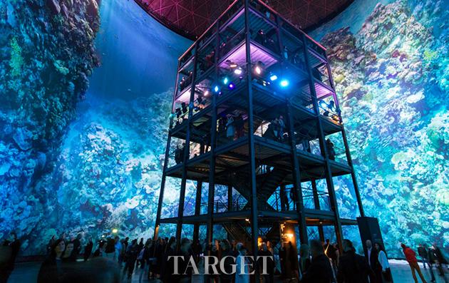 来体验一场世界上最大的珊瑚礁视觉展览吧！
