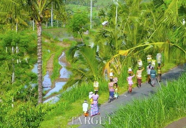 巴厘岛庆典活动年历 助您策划神秘奇妙的巴东假期